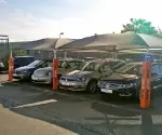 Padded post protectors for VW car dealership
